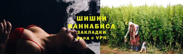 хмурый Абаза