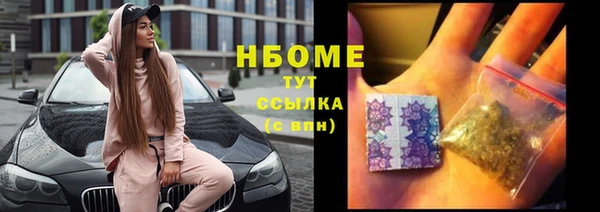 хмурый Абаза