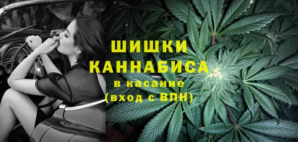 хмурый Абаза