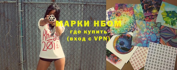 хмурый Абаза
