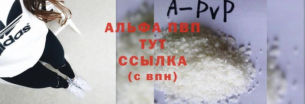 хмурый Абаза