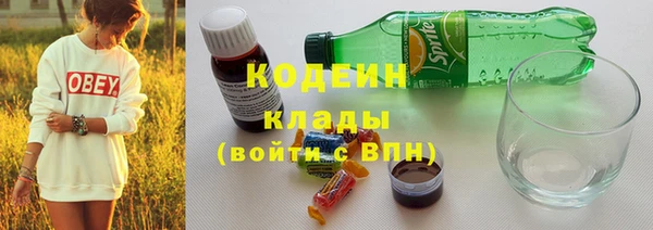 гашик Кулебаки